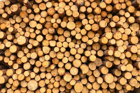 Stroj za rezanje i cijepanje TITAN 43/20 u radu